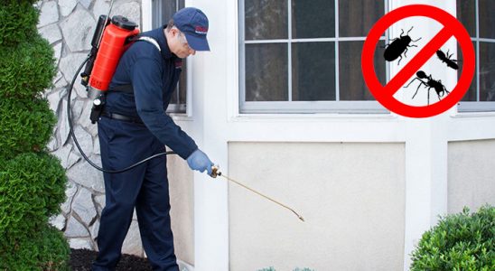 Şaphane Hamam Böceği İlaçlama böcek ilaçlama ve haşere kontrolü — ilaclama-tr.com
